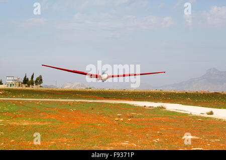 Alexander Schleicher fragen 7 m zwei Sitz schulsegelflugzeug der Zypern Segelfliegen Gruppe an Land an Mammari Landebahn, Nikosia, Zypern. Stockfoto