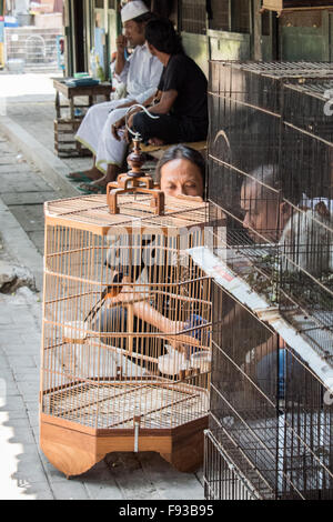 Handel mit Vögel am Pasar Ngasem Vogel Markt, Yogyakarta, Java, Indonesien Stockfoto