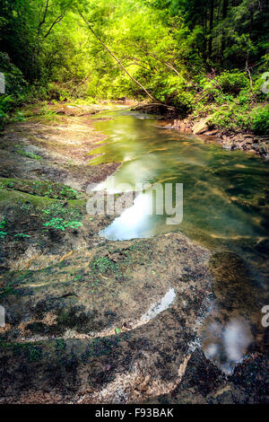 Kleiner Bach in einem Wald in der Nähe Hund Schlachten fällt in der Nähe von Corbin, Kentucky Stockfoto