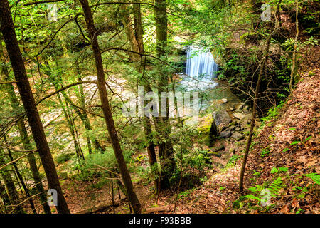 Draufsicht der Hund Schlachten fällt im Daniel Boone National Forest in südlichen Kentucky Stockfoto