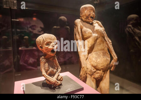 Eine Baby-Mumie in Guanajuato, Mexiko berühmte Mumie Museum. Stockfoto