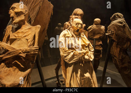 Makabre Mumien in Guanajuato, Mexiko berühmte Mumie Museum. Stockfoto