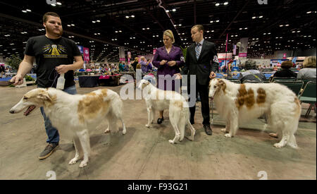 Orlando, Florida, USA. 12. Dezember 2015. Barsois sind für ihre Konkurrenz während der WM 2015 AKC/Eukanuba inszeniert. Mit mehr als 6.100 Einträgen handelt es sich um die größte Hundeausstellung in den Vereinigten Staaten in den letzten 20 Jahren statt. © Brian Cahn/ZUMA Draht/Alamy Live-Nachrichten Stockfoto