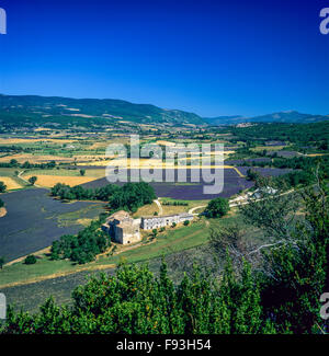 Bauernhof in Sault Tal mit blühenden Lavendelfelder, Vaucluse, Provence, Frankreich, Europa Stockfoto