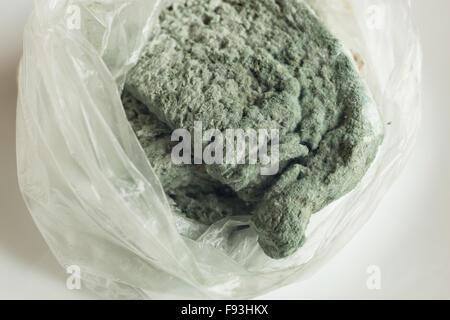 extrem Schimmel bedeckt Käse und Branston Pickle Sandwich links in Plastiktüte voller Pilze und unkenntlich Lebensmittelvergiftung Stockfoto