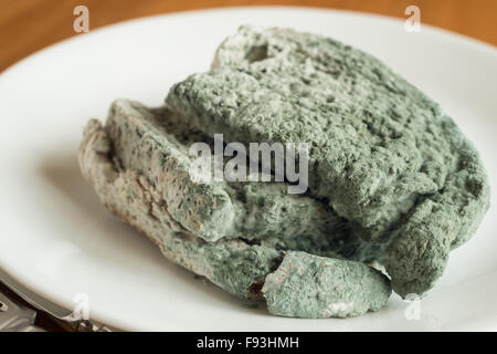 extrem Schimmel bedeckt Käse und Branston Pickle Sandwich links in Plastiktüte voller Pilze und unkenntlich Lebensmittelvergiftung Stockfoto