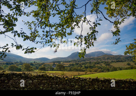 Die Füchse Cross 5-Sterne-Luxus-Hotel und Restaurant im Schatten des Cader Idris Berg, Nähe Ortszentrum, Snowdonia-Nationalpark, Gwynedd, Nordwales Stockfoto