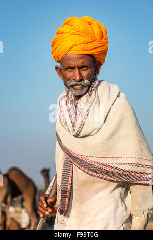 Porträt von einem senior Rajasthani und mit einem gelben Turban, Pushkar, Rajasthan, Indien Stockfoto