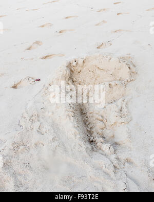 Ein Sea Turtle Nest auf Turtle Beach, Buck Island, US Virgin Islands. Stockfoto