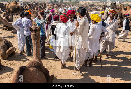 Kamel Händler besprechen sich während der jährliche Pushkar Camel Fair, Rajasthan Indien Stockfoto