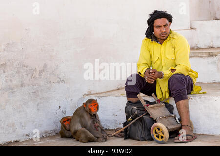 Ein Mann mit seinen bemalten Makaken (Macaca Mulatta) Rhesusaffen warten, Pushkar, Rajasthan, Indien Stockfoto