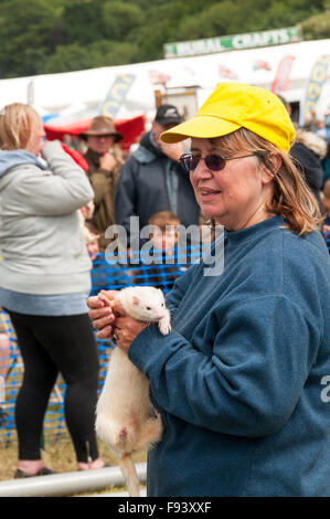 Eine Frau mit einem weißen Frettchen am Holkham Country Fair. Stockfoto