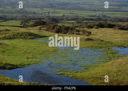 Pfützen nach starken Regenfällen auf Whitchurch, Dartmoor im Winter, auf Feldern in der Nähe von Tavistock, Devon, England Stockfoto