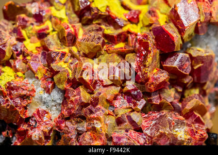 Arsen Sulfid Mineralien, rote farbige Realgar (As4S4) und leuchtend gelben Rhusma (As2S3). Stockfoto