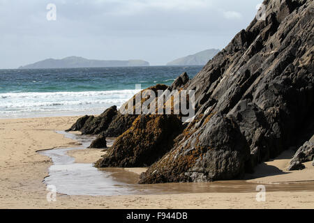 Felsen auf irischen Atlantikküste bei Coumeenoole Strand, Dunmore Head auf der Dingle Halbinsel mit dem Blasket Inseln im Hintergrund. Stockfoto