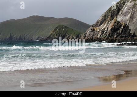 Atlantische Brandung am Strand, Coumeenoole Dunmore Head auf der Dingle Halbinsel mit Great Blasket Insel im Hintergrund Stockfoto