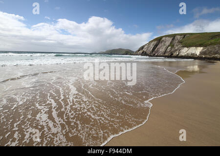 Flut und atlantische Brandung am Coumeenoole Strand, einem langen Strand, Dunmore Head auf der Dingle Halbinsel Stockfoto