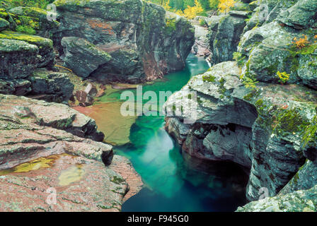 Schlucht und Herbstfarben entlang Mcdonald Creek im Glacier National Park, montana Stockfoto