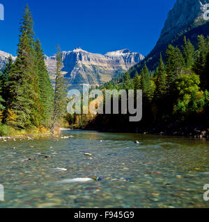 Herbstfarben am Mcdonald Creek unterhalb der Gartenmauer im Glacier National Park, montana Stockfoto