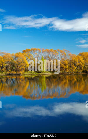 Herbstfärbung und Clutha River in Kaitangata, in der Nähe von Balclutha, South Otago, Südinsel, Neuseeland Stockfoto