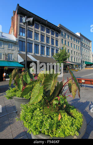 Kanada, Quebec, Montreal, setzen Sie Jacques-Cartier, Stockfoto