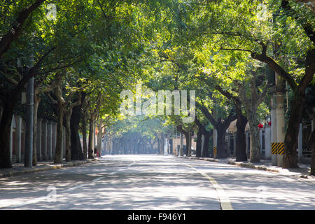 Leere Straße im Sonnenlicht in der französischen Konzession in China Stockfoto