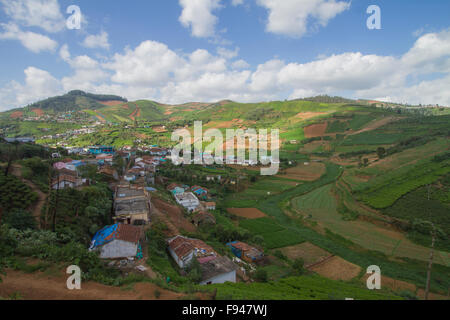 Landwirtschaftliche Flächen in Nilgiris in der Nähe von Ooty, Tamil Nadu, Indien Stockfoto