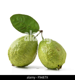 Guavafrüchte isoliert auf weiss Stockfoto