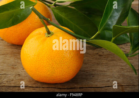 Reife Früchte Mandarin Stockfoto