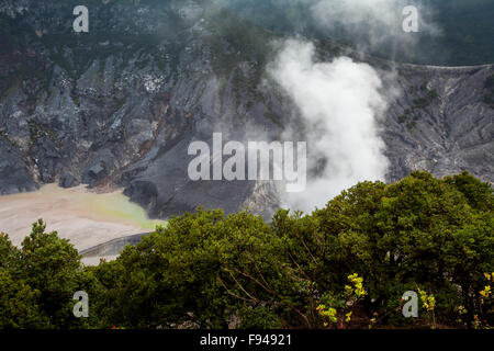 Krater des Vulkans Mount Tangkuban Perahu in Lembang, West Bandung, West Java, Indonesien. Stockfoto