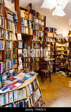 Santorini, Oia. Atlantis second hand Buchladen. Interieur mit Wänden in Holz Regale voller Bücher, Hund Festlegung in der Ecke schlafen. Stockfoto