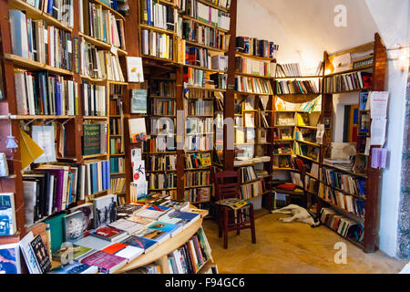 Santorini, Oia. Atlantis second hand Buchladen. Interieur mit Wänden in Holz Regale voller Bücher, Hund Festlegung in der Ecke schlafen Stockfoto