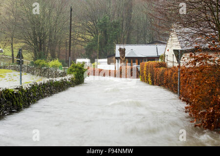 Tobenden Fluten unterwegs unter Loughrigg in Ambleside, Rothay Brücke im Lake District auf Samstag, 5. Dezember 2015, während sintflutartige Regenfälle vom Sturm Desmond. Stockfoto