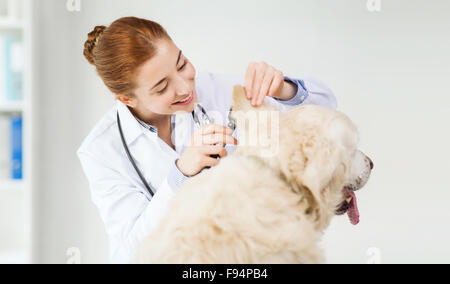 glücklich Arzt mit Otoskop und Hund in der Tierklinik Stockfoto