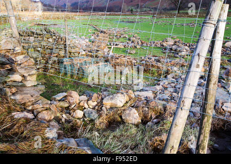 Am Samstag, 5. Dezember 2015, Sturm Desmond stürzte in das Vereinigte Königreich, Herstellung von Großbritanniens höchsten je 24 Stunden insgesamt bei 341,4 mm Niederschlag. Es überschwemmt das Lakeland-Dorf Glenridding, die gerade erst anfangen, wenn Sie einen weiteren Zeitraum von Starkregen am Mittwoch, 9. Dezember Glenridding Beck, seine Ufer verursacht zu reparieren, noch weitere Zerstörung verursachen. Dieses Foto am Donnerstag, 10. Dezember zeigt Wände durch das Hochwasser abgeflacht. Stockfoto