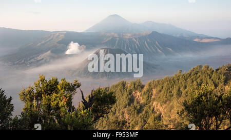 Mounto Bromo bei Sonnenaufgang, Ost-Java, Indonesien Stockfoto