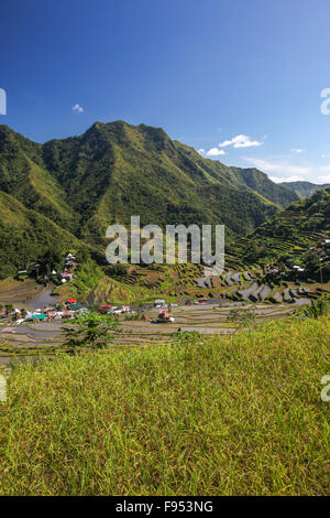 Landwirtschaftlichen Reisterrassen von Batad Philippinen Stockfoto