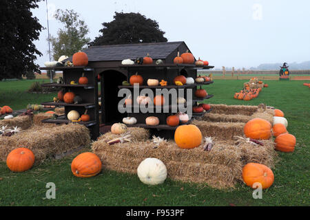 Herbst-Display mit einer Vielzahl von Kürbisse, Kürbisse und andere Halloween-Dekorationen auf dem Land-Bauernhof im Norden von Illinois. Stockfoto