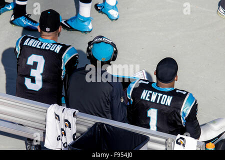 Charlotte, North Carolina, USA. 13. Dezember 2015. NC, Carolina Panthers Quarterback Cam Newton #1 und Carolina Panthers quarterback Derek Anderson #3 Uhr von der Seitenlinie in der NFL-Spiel gegen die Atlanta Falcons am 13. Dezember 2015, bei Bank of America Stadium in Charlotte, North Carolina. Die Panthers besiegten Falken 38-0. Margaret Bowles/CSM/Alamy Live-Nachrichten Stockfoto