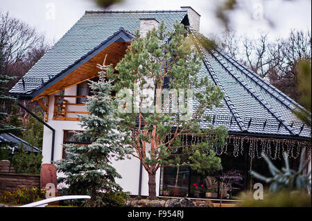 Kiefer auf einem Hintergrund von Landhaus Stockfoto
