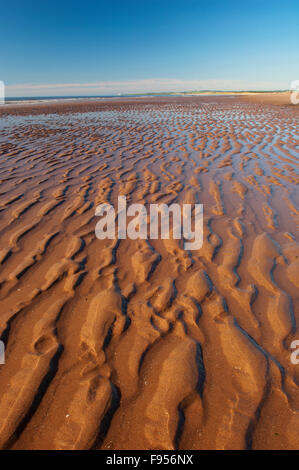 Der Strand von St Cyrus National Nature Reserve - Aberdeenshire, Schottland. Stockfoto