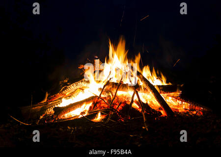 Freudenfeuer, Lagerfeuer brennen Gartenabfälle in der Nacht. Stockfoto