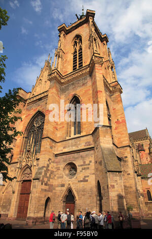 Frankreich Elsass Colmar Collégiale St-Martin-Dom Stockfoto