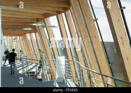 Durham University Business School. Ansicht des Schrankes Flur und Treppe. Holzbalken und Decke bis zum Boden Windows. Zeitgenössische Architektur. Stockfoto