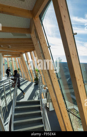 Durham University Business School. Ansicht des Schrankes Flur und Treppe. Holzbalken und Decke bis zum Boden Windows. Zeitgenössische Architektur. Stockfoto