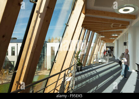Durham University Business School. Blick auf einen Korridor. Holzbalken und Decke bis zum Boden Windows. Zeitgenössische Architektur. Stockfoto