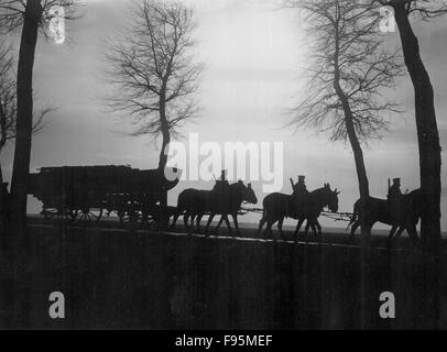 Britische Front, Belgien, 1916. Stockfoto