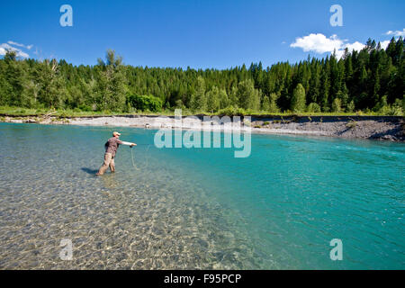 Mittelalterlichen Mann Fliegenfischen auf Bull Fluss, Osten Kootenays, BC, Kanada. Stockfoto