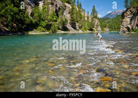 Mittelalterlichen Mann Fliegenfischen auf Bull Fluss, Osten Kootenays, BC, Kanada. Stockfoto