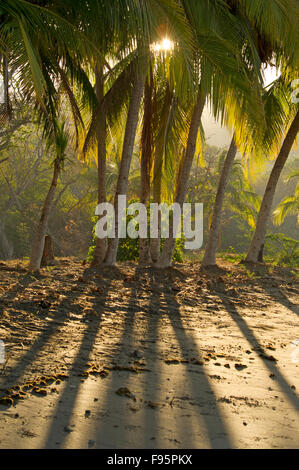 Sonnenaufgang auf einem schwarzen Sandstrand an der Bucht von Papagayo. Stockfoto